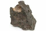 Chondrite Meteorite ( g) - Western Sahara Desert #232948-1